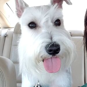 Meet your Posher, Zee